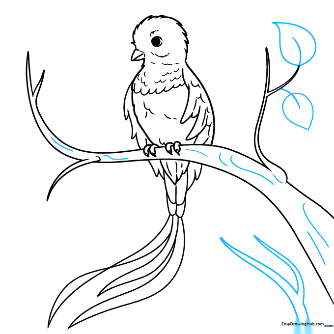 Drawing leaves and additional branches to complete the environment.