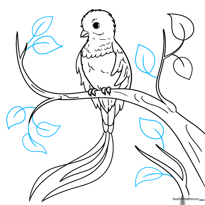 Finalizing the drawing with extra leaves and cleaning up sketch lines.