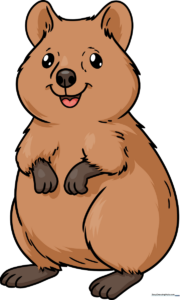 A vibrant, finished drawing of a smiling quokka, perfect for kids to use as a reference.