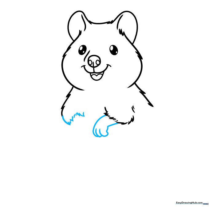 Close-up of the quokka's front paws and arms drawn with overlapping curved lines.