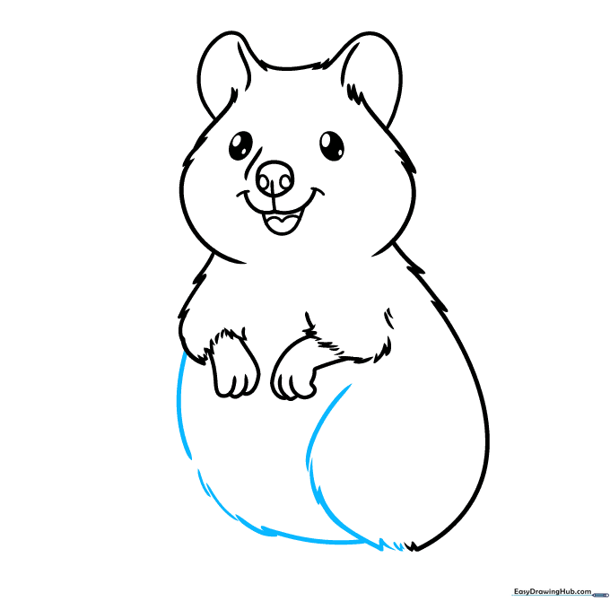 Outline of the quokka's belly and rear leg area.