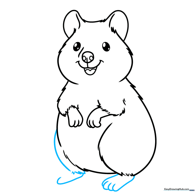 Detailed sketch of the quokka's rear feet and legs with fur texture.