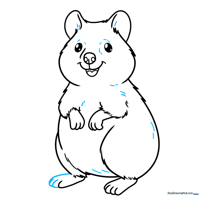 Final line art of the quokka with added fur texture details and defined toes.