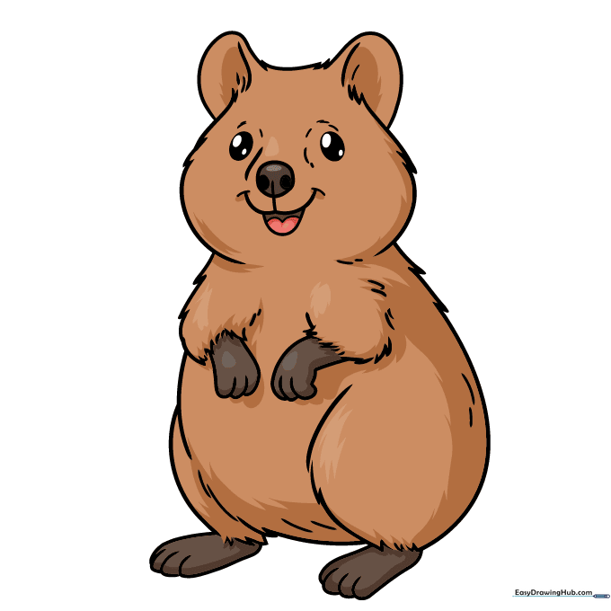 A fully colored, friendly-looking cartoon quokka.