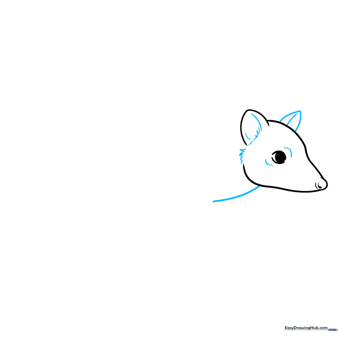 Drawing of a quoll head with added ear detail and neck lines.