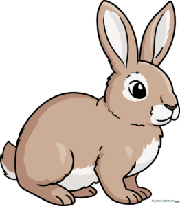 A colorful, friendly cartoon rabbit illustration, perfect for kids to learn drawing.