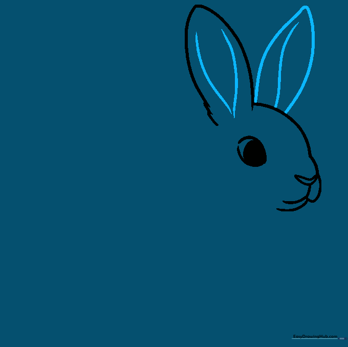 Adding the second rabbit ear with interior contour lines for depth.