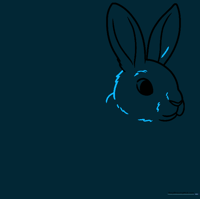 Refining the rabbit's face and shoulder area using jagged fur-like lines.