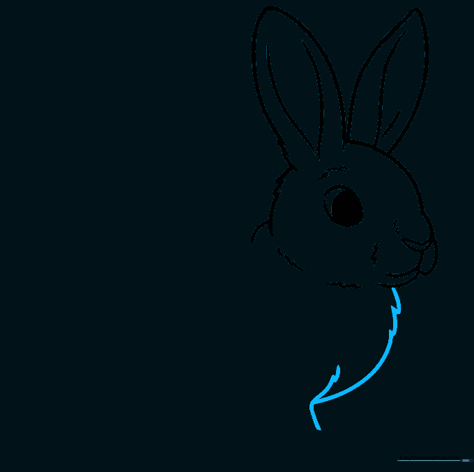 Drawing the rabbit's chest and the start of the front leg.
