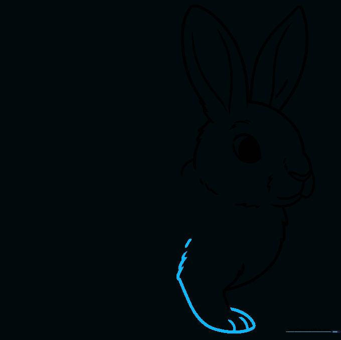 Detailing the rabbit's front leg and toes with simple curved lines.