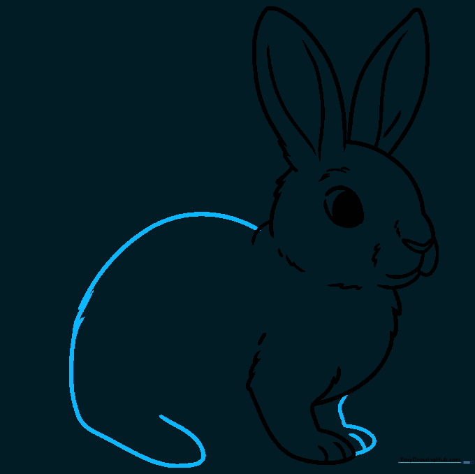 Sketching the rabbit's back, haunches, and the large rear foot.