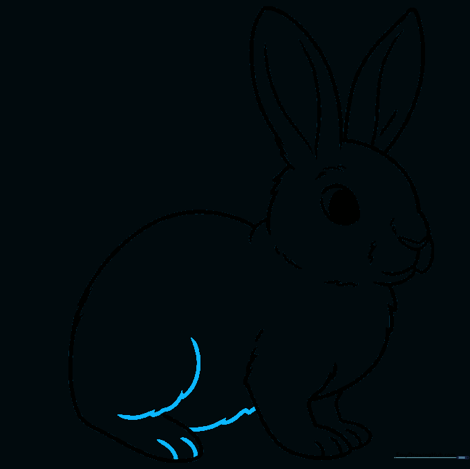 Adding the belly line and finishing the details on the rabbit's rear foot.