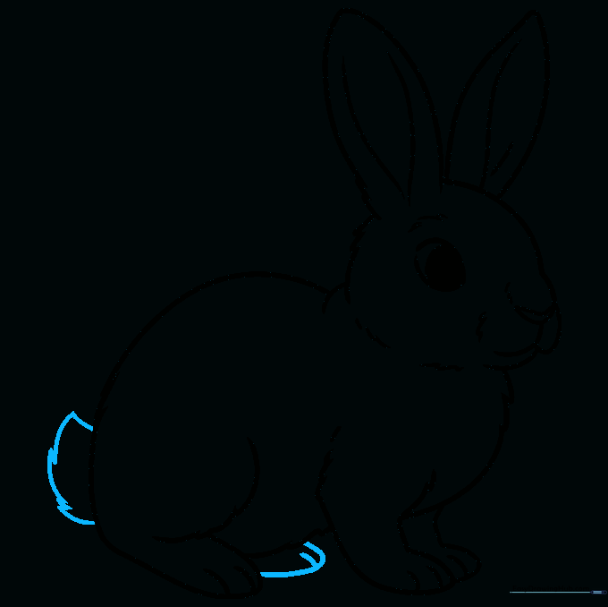 Adding the final foot and a small, fluffy rabbit tail to complete the drawing.