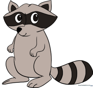 A friendly, finished raccoon illustration set against a clean background.
