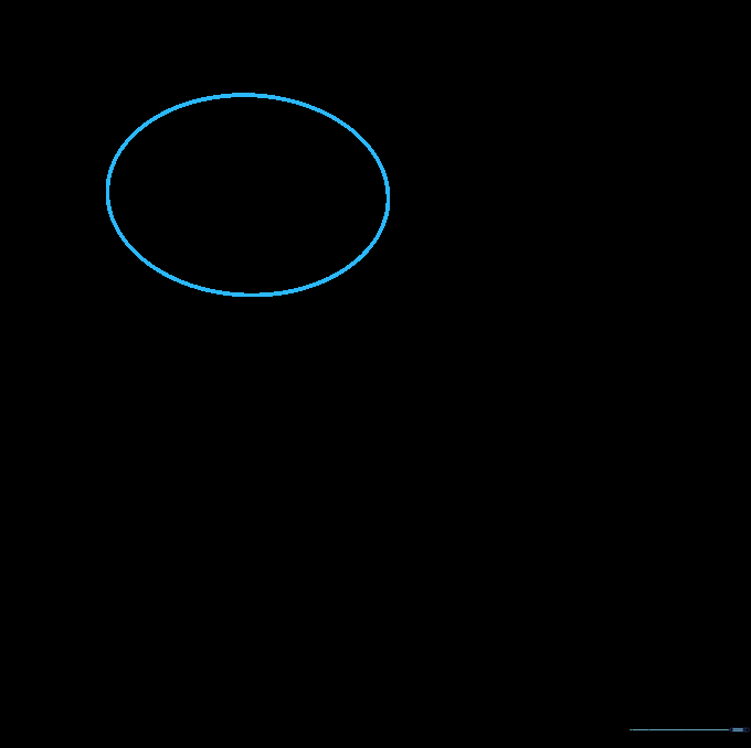 A light pencil sketch of a single oval representing the raccoon head shape.