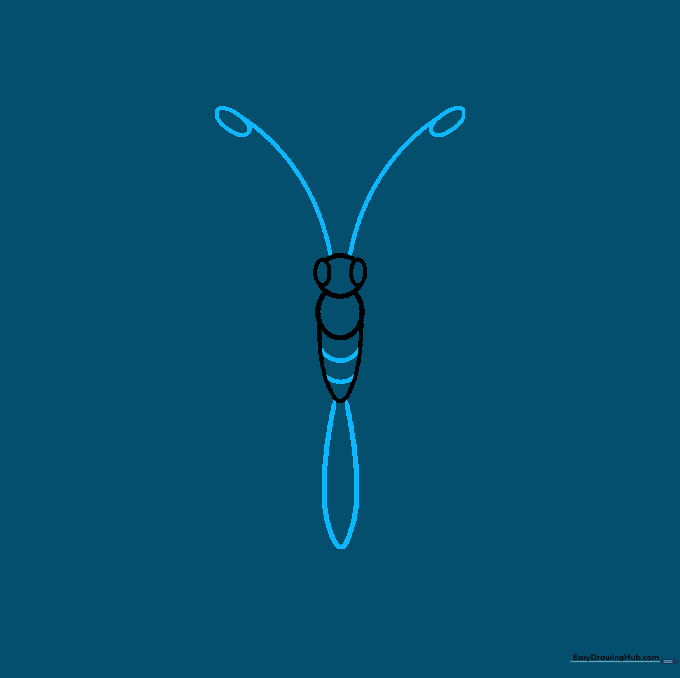Drawing the butterfly's club-shaped antennae and the elongated abdomen section.