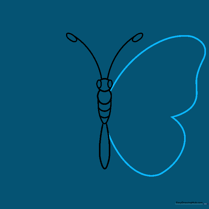 Sketching the large, heart-shaped wing structure on the left side of the butterfly body.