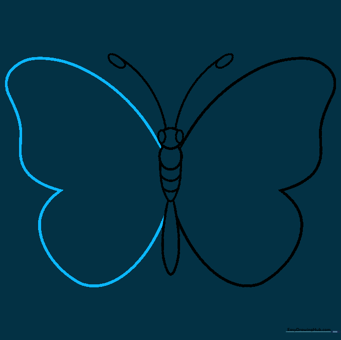 Completing the butterfly's wing structure by mirroring the shapes on the right side.