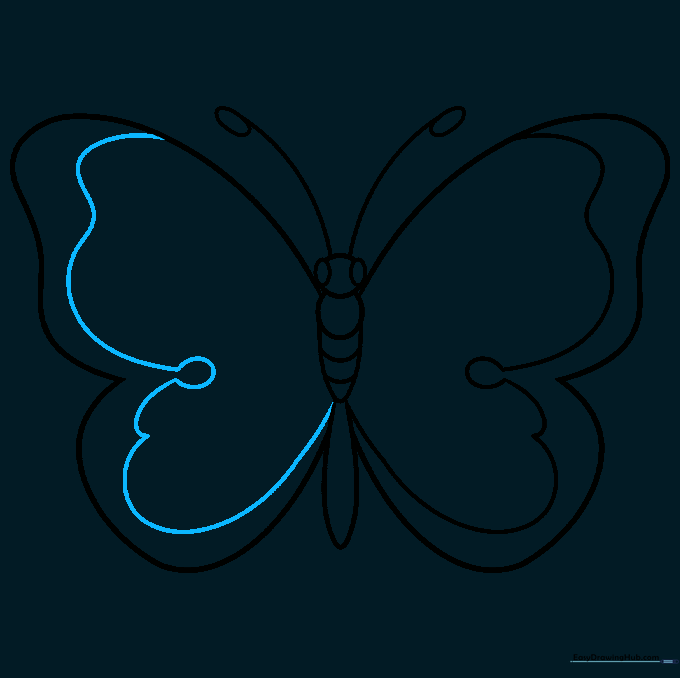 Mirroring the decorative wing patterns onto the right side of the butterfly.