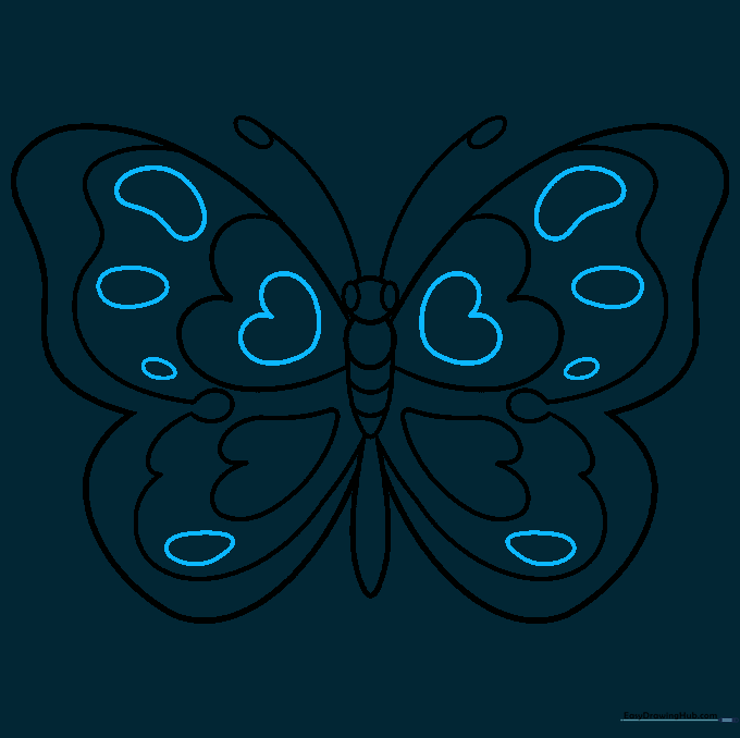Adding irregular oval shapes to the wings to create complex, natural-looking patterns.