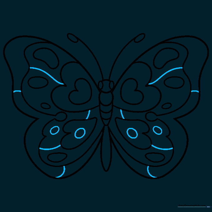 Finalizing the butterfly outline with small decorative details and clean lines.