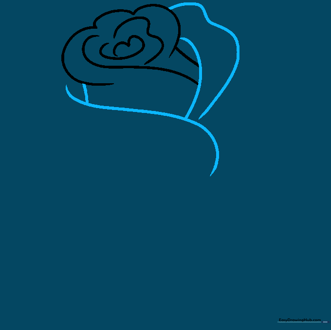 Rose drawing showing the addition of Y-shaped lines to form larger petal segments.