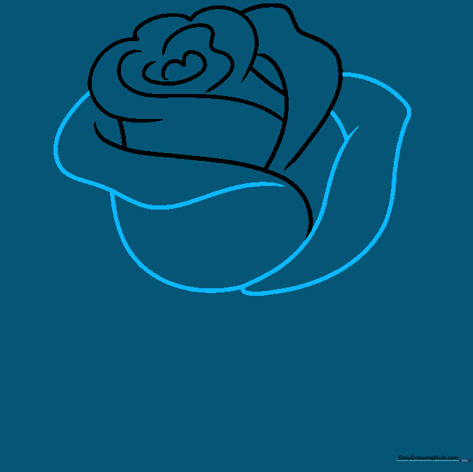 Sketch of a rose with long, sweeping outer petals taking shape.