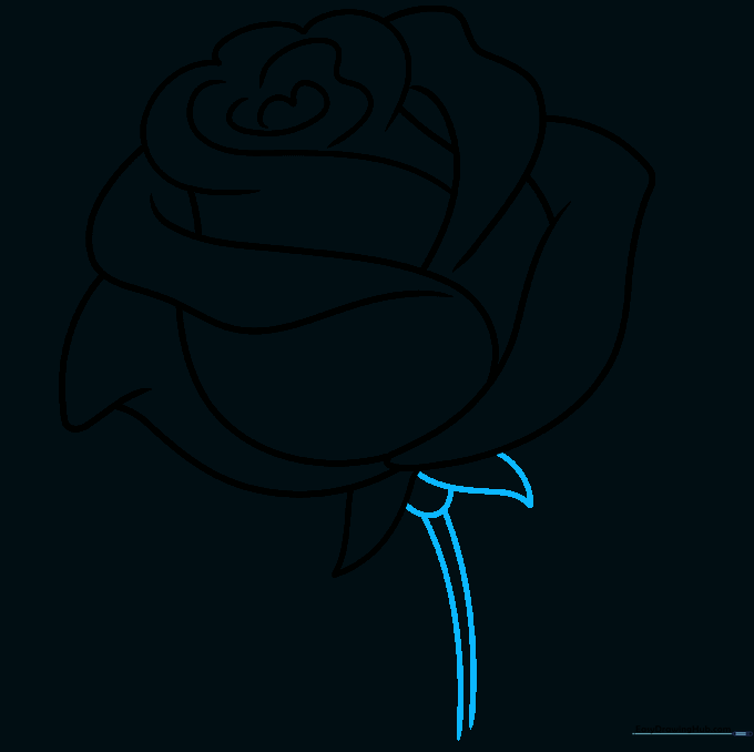 Rose drawing showing the addition of a stem and a second sepal at the base.