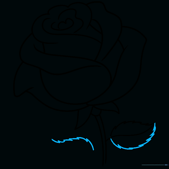 Rose drawing with two leaves attached to the stem, showing jagged edges.