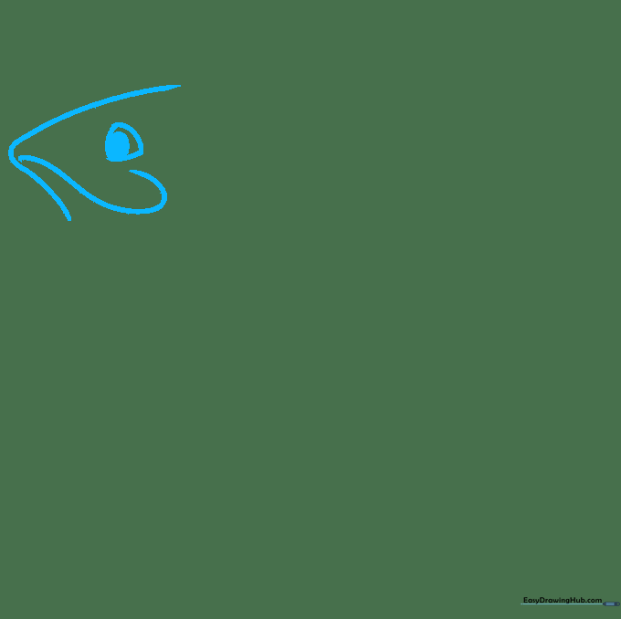 Pencil sketch showing the initial V-shaped snout and triangular eye of a rainbow trout.
