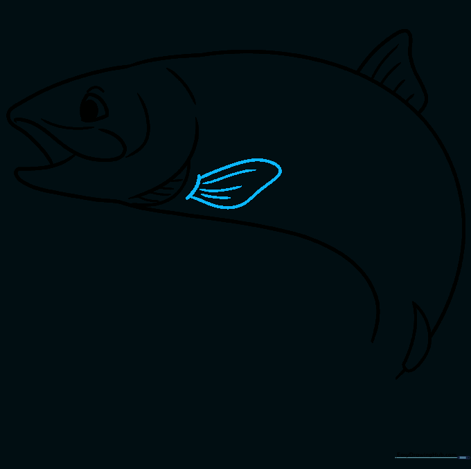 Detailing the pectoral fin with short, textured lines.