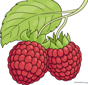 A vibrant, finished drawing of two raspberries with green leaves on a white background.
