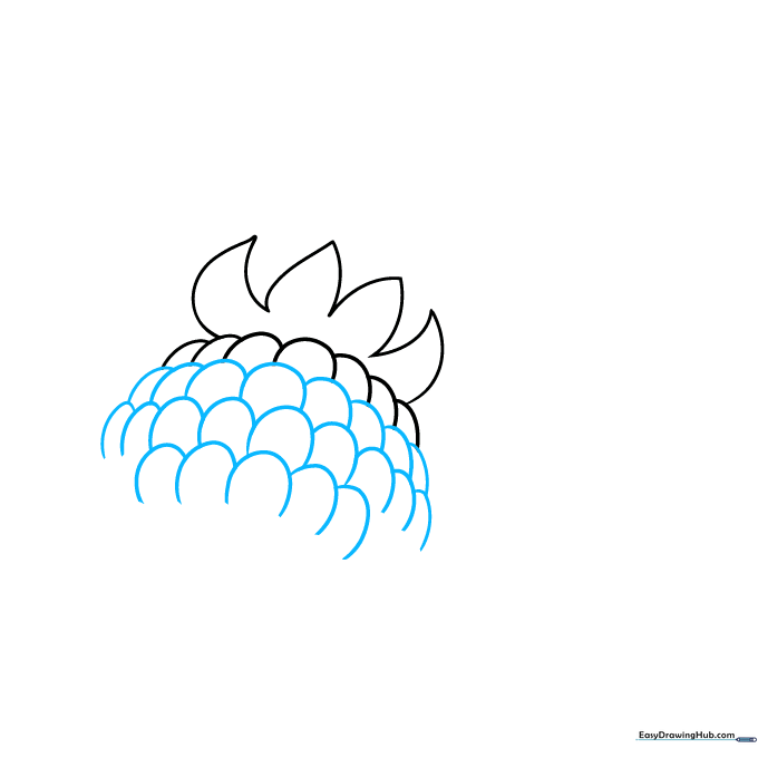Drawing the second and third rows of small, overlapping curved lines to represent raspberry texture.