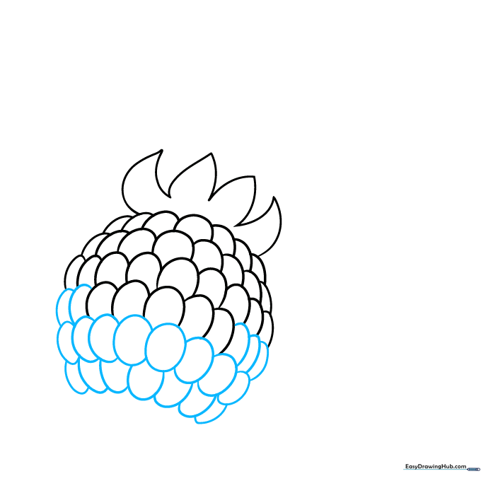 Adding more rows of drupelets to build the main body of the raspberry.