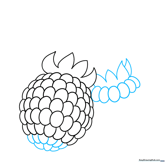 Sketching a second, smaller raspberry next to the first one.