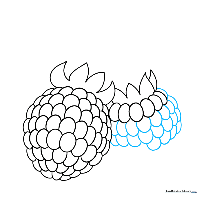 Adding more rows of curved lines to flesh out the second raspberry.