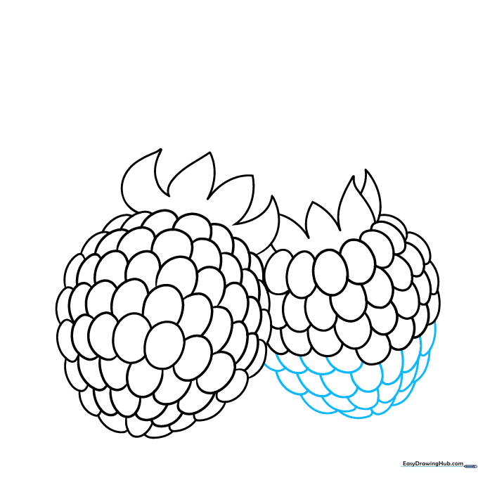 Completing the oval shape of the second raspberry with smaller drupelets.