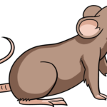 Colorful, finished drawing of a cute cartoon rat, perfect for kids to emulate.