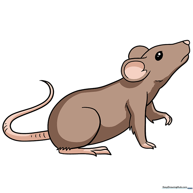 Finished, colored illustration of a friendly cartoon rat.