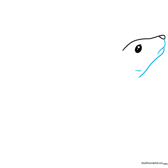 Close-up sketch of a rat's mouth and jawline using overlapping curved lines.