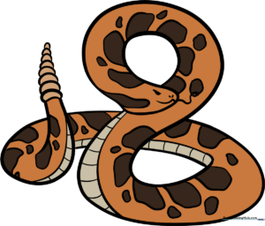A vibrant, finished drawing of a rattlesnake, showcasing the final result of the tutorial.