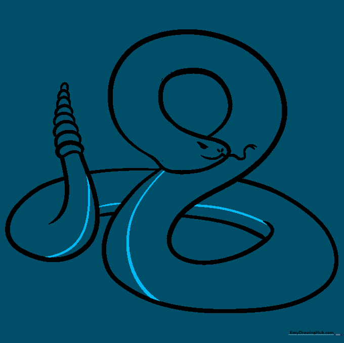 A line is drawn along the bottom of the snake to define the belly area.