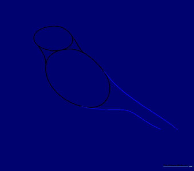 Two parallel lines forming the base of the raven's tail feathers.