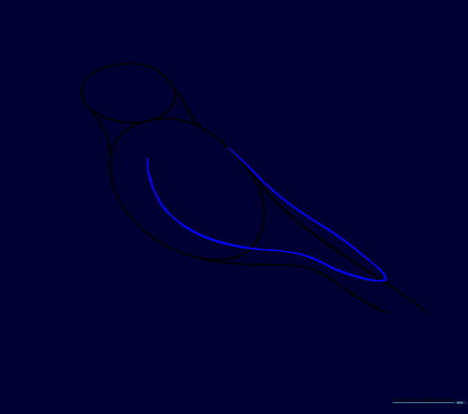 A large curved line added to the body to represent the folded wing.