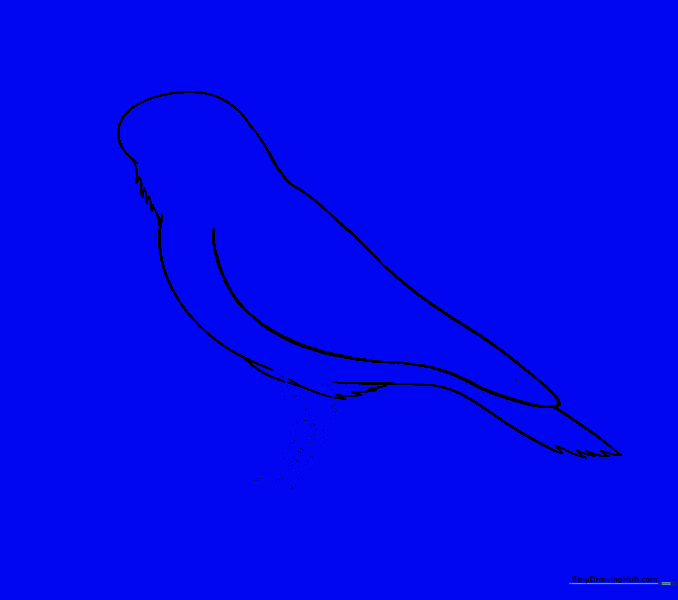 Two pairs of lines sketched to form the upper part of the raven's legs.