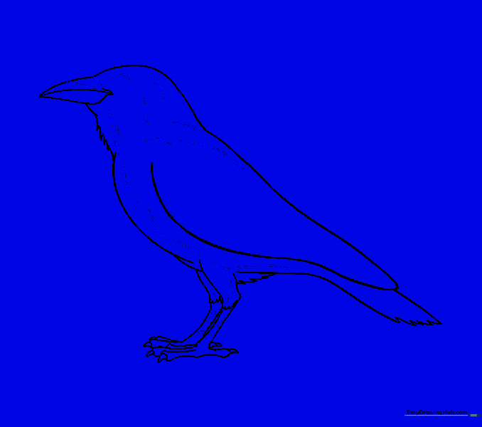 Detailed feather texturing added to the raven's body and neck.