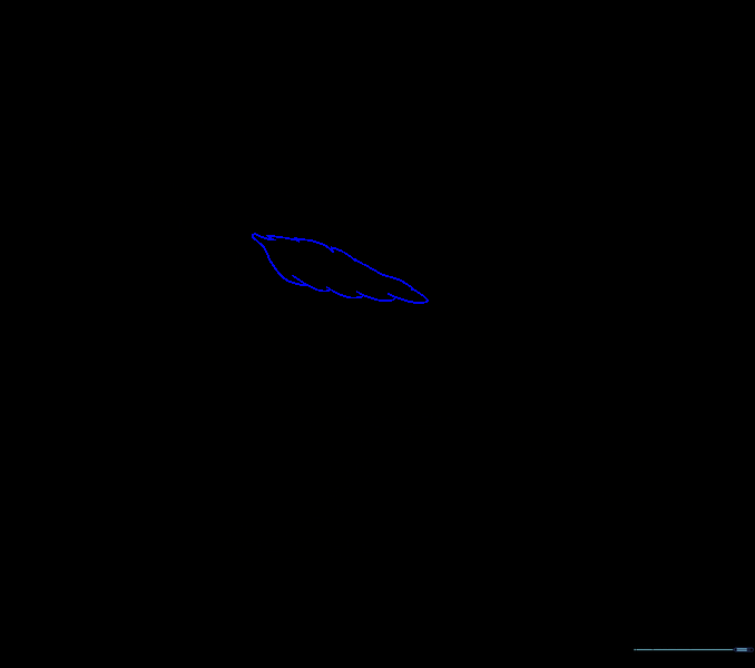 Curved lines added to the wing to define the flight feathers.