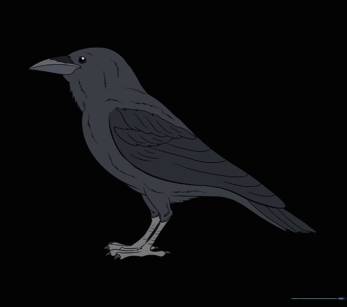 The completed raven drawing, shaded with black and gray tones.