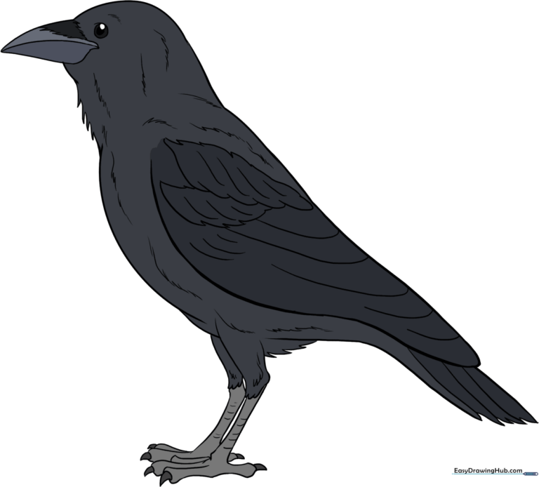 A finished, detailed drawing of a raven perched, ready for coloring.