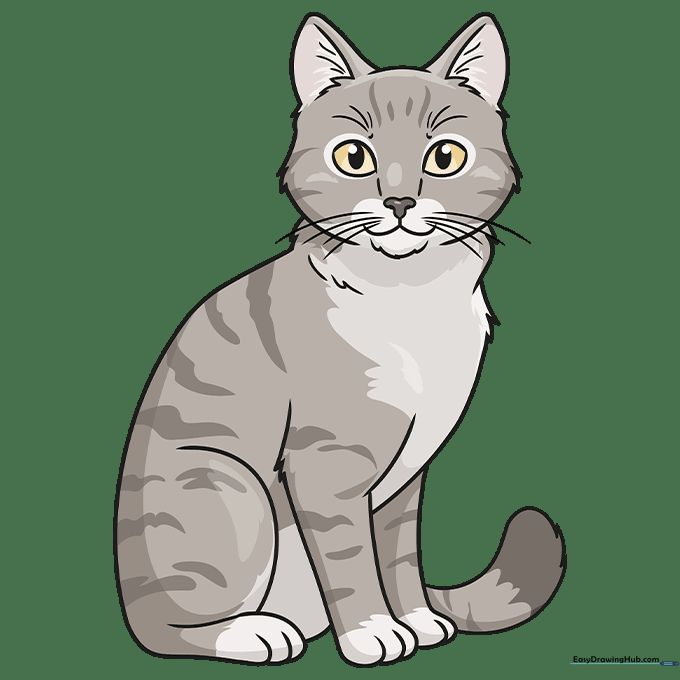 Finished, colored drawing of a realistic tabby cat with gold eyes and gray fur.